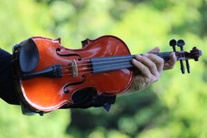 person holding a violin